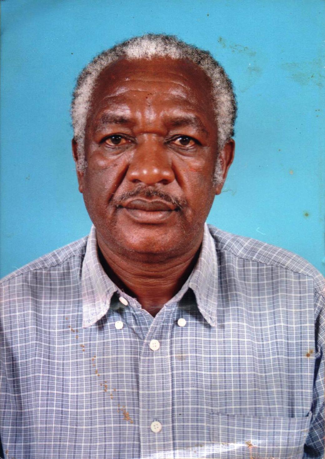 Passport portrait